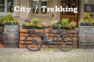 City & Trekking E-Bikes