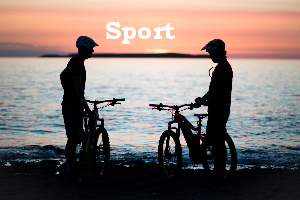 Sport E-Bikes